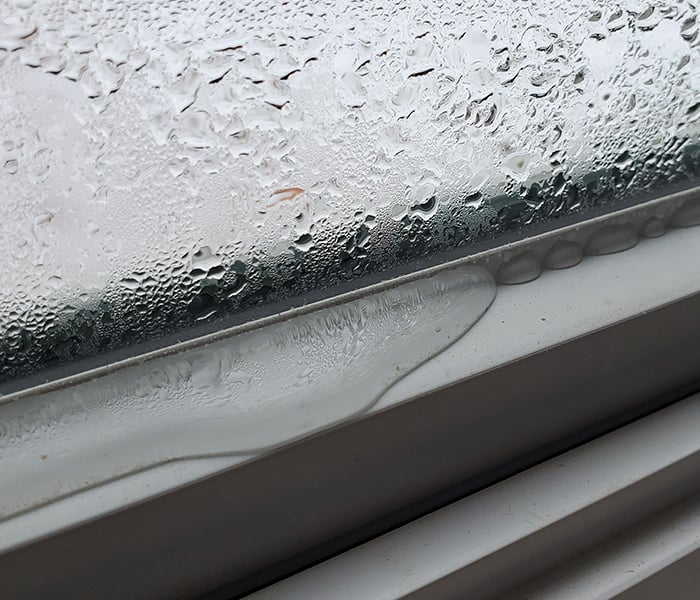 How to account for climate when picking out windows