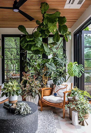 Hilton Carter renovated open-concept sunroom with plants, wood detail ceilings and folding black door