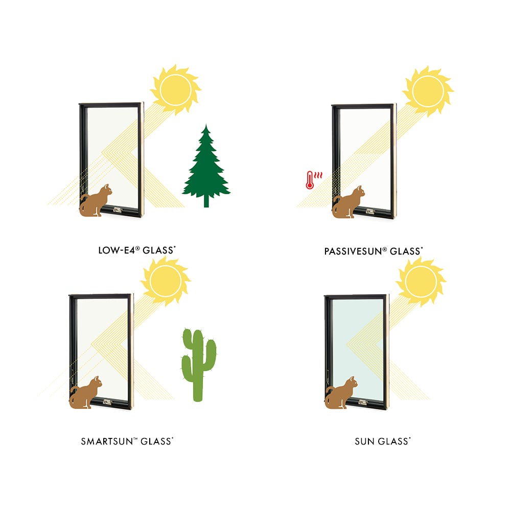 Graphic displaying various styles of class for different climates