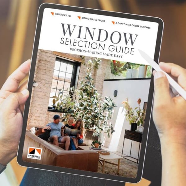 Window Selection Guide cover on iPad